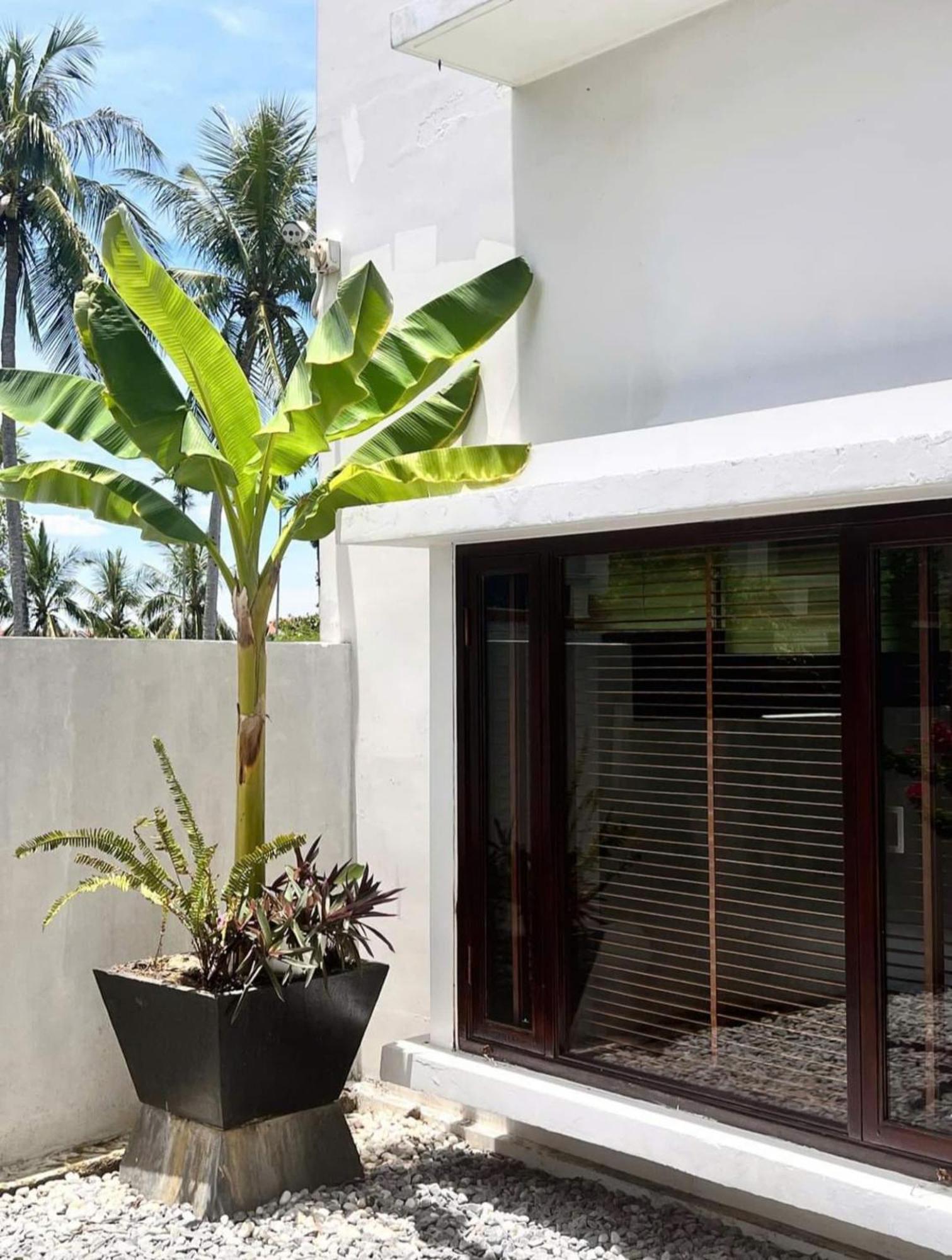 Happy Life Memories Hoi An Hotel & Spa Eksteriør billede